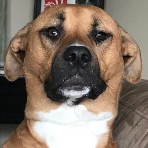 Meet your Posher, Doug